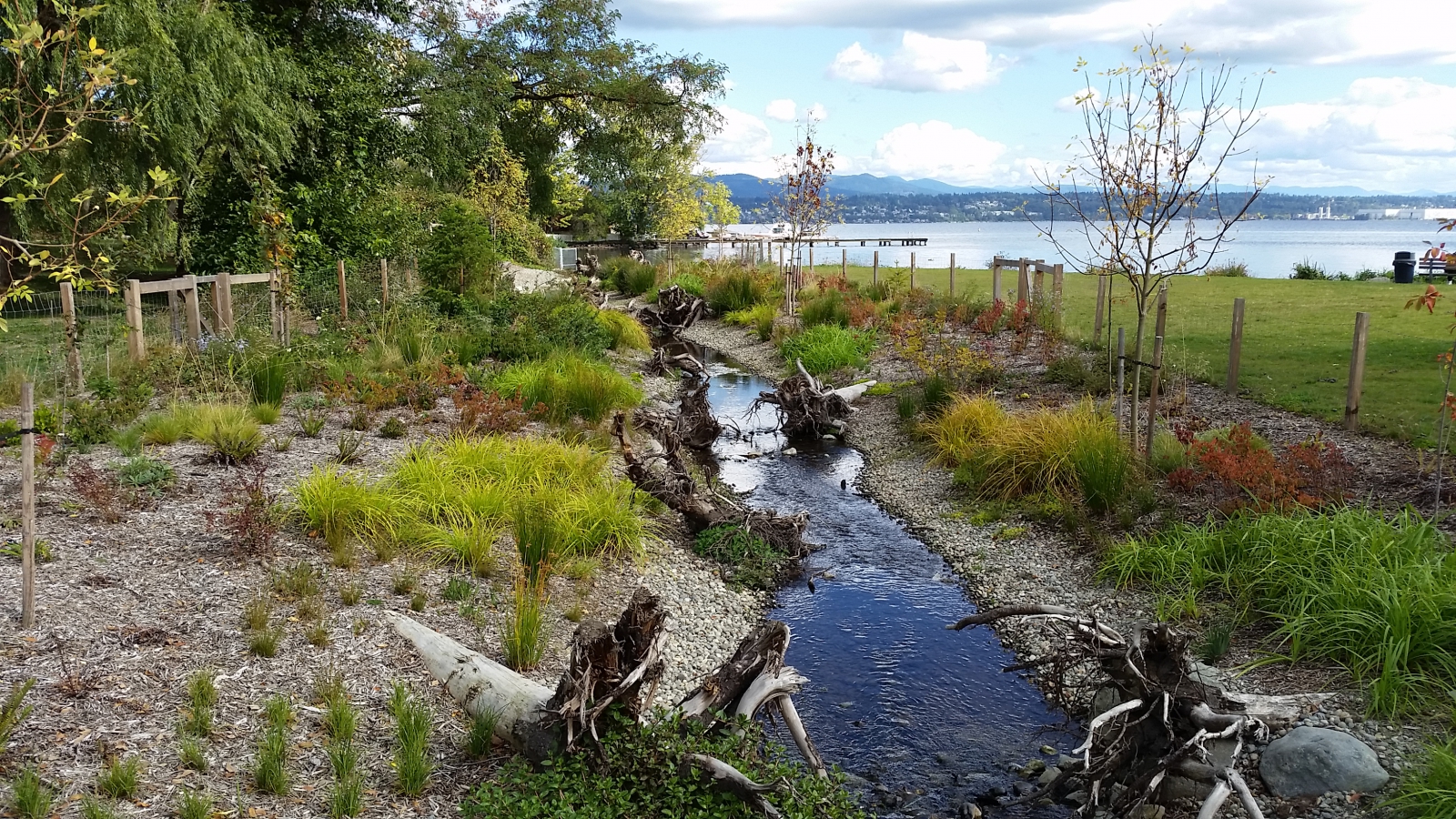 Mapes_looking at Lake WA-092615