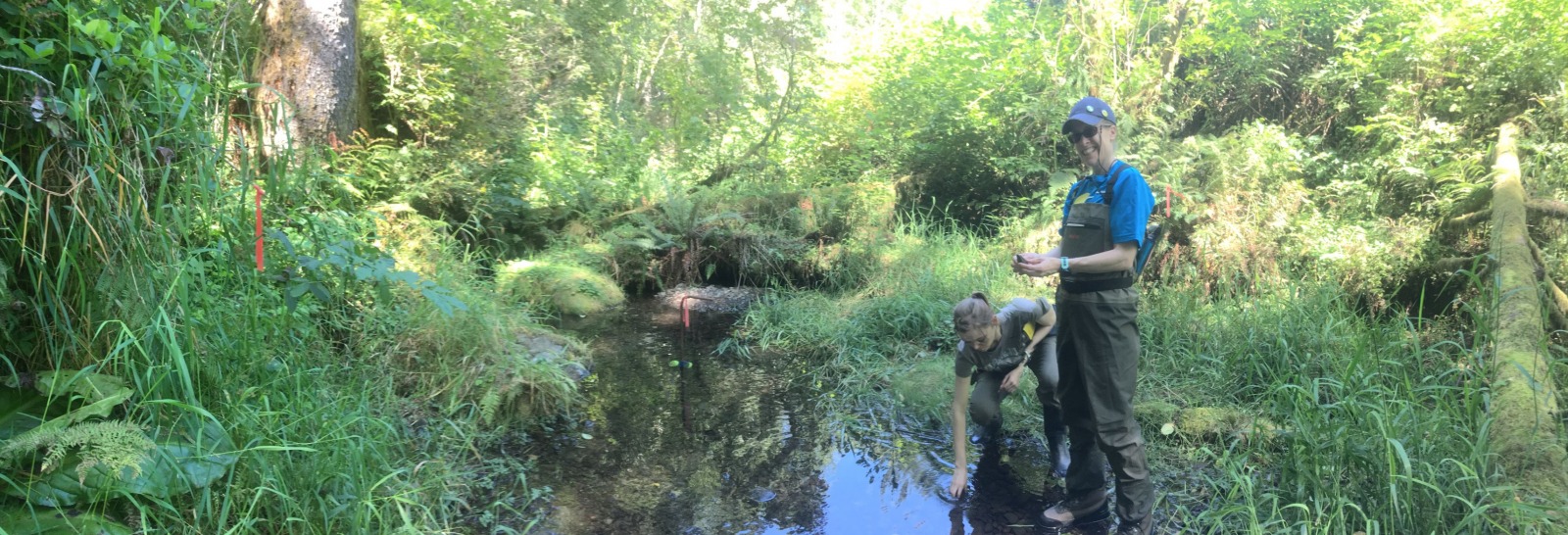Pebble Count at Wilson Creek, Olympic Peninsula