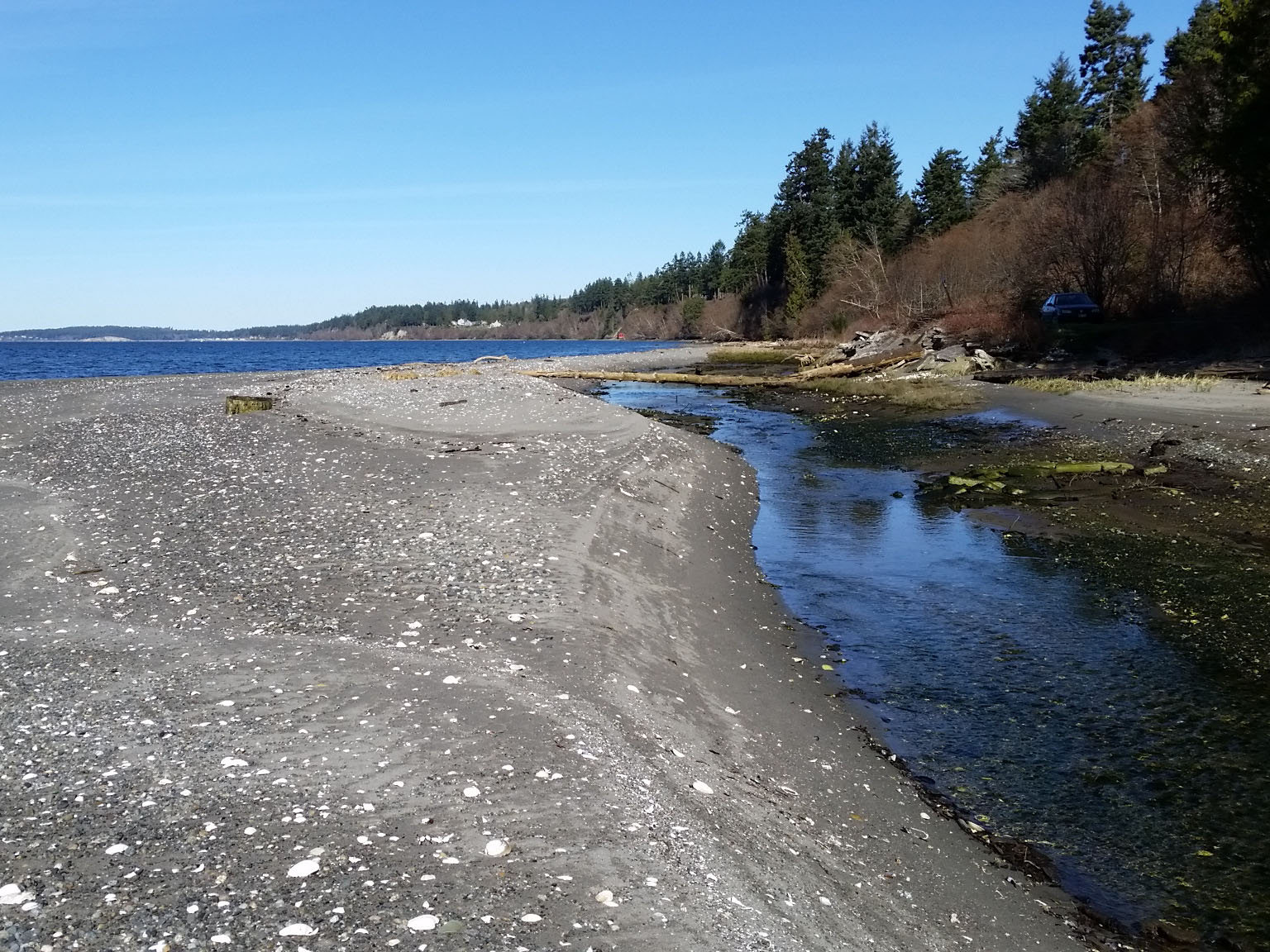 port gamble Geotechnical Assessment and Shoreline Management Study fain environmental geomorphology project