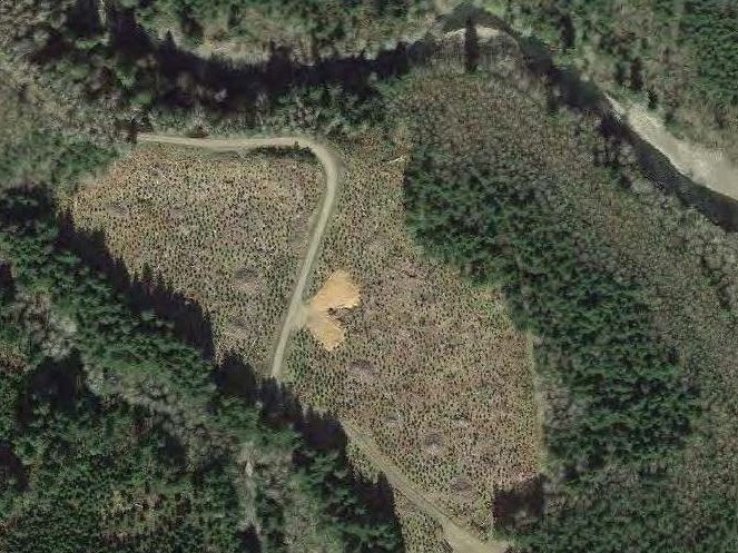 Grays Pond Fain Environmental ecosystem services project