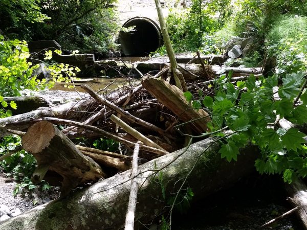 Seabeck Creek Culvert Replacement Project and Hite Road Large Wood Placement Fain Environmental ecosystem restoration project