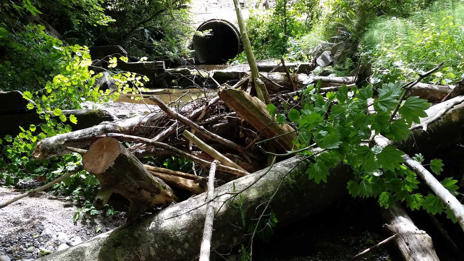 Seabeck Creek Culvert Replacement Project and Hite Road Large Wood Placement Fain Environmental ecosystem restoration project