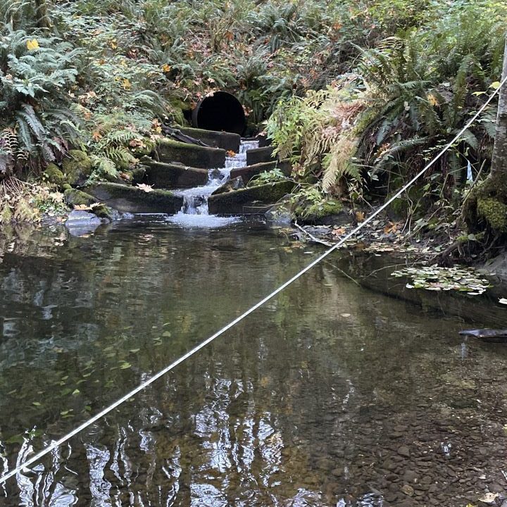 RM 36.09 CULVERT REPLACEMENT